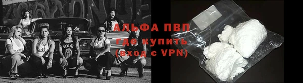 индика Ростов